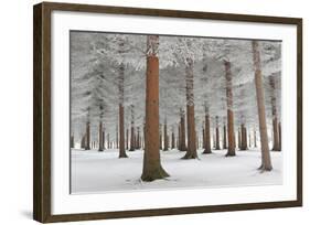 In White-Dragisa Petrovic-Framed Giclee Print