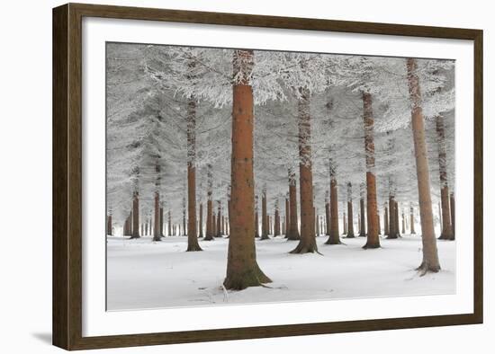 In White-Dragisa Petrovic-Framed Giclee Print