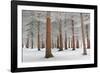 In White-Dragisa Petrovic-Framed Photographic Print