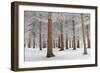 In White-Dragisa Petrovic-Framed Photographic Print