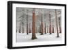 In White-Dragisa Petrovic-Framed Photographic Print