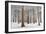 In White-Dragisa Petrovic-Framed Photographic Print