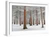 In White-Dragisa Petrovic-Framed Photographic Print