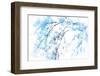 In Winter-Ursula Abresch-Framed Photographic Print