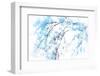 In Winter-Ursula Abresch-Framed Photographic Print