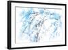 In Winter-Ursula Abresch-Framed Photographic Print