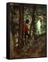 In Woods-Giovanni Mochi-Framed Stretched Canvas