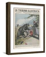 In Yellowstone a Bear Pats a Woman in a Car-Vittorio Pisani-Framed Art Print