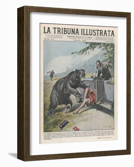 In Yellowstone a Bear Pats a Woman in a Car-Vittorio Pisani-Framed Art Print
