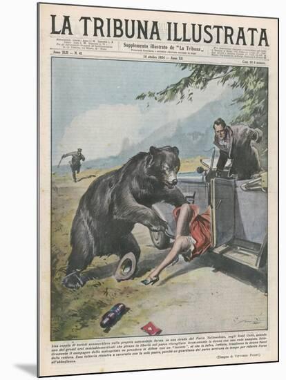 In Yellowstone a Bear Pats a Woman in a Car-Vittorio Pisani-Mounted Art Print