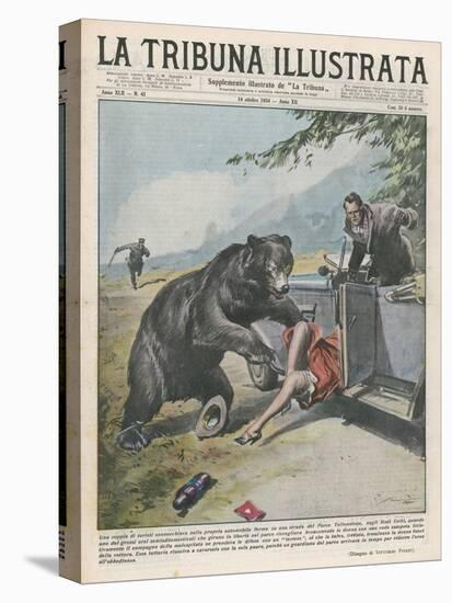 In Yellowstone a Bear Pats a Woman in a Car-Vittorio Pisani-Stretched Canvas