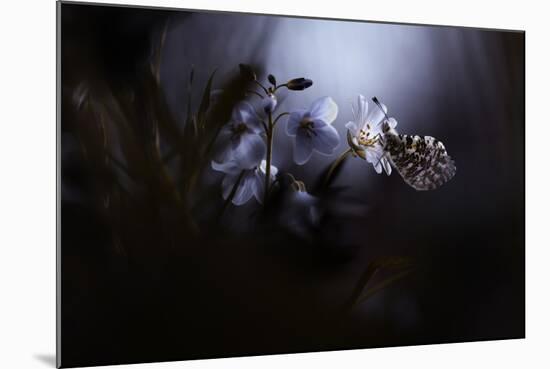 In Your Dreams, Everything Is Alright-Fabien Bravin-Mounted Photographic Print