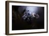 In Your Dreams, Everything Is Alright-Fabien Bravin-Framed Photographic Print