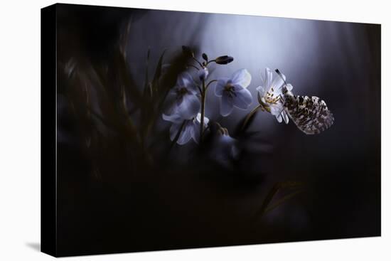 In Your Dreams, Everything Is Alright-Fabien Bravin-Stretched Canvas