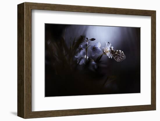 In Your Dreams, Everything Is Alright-Fabien Bravin-Framed Photographic Print