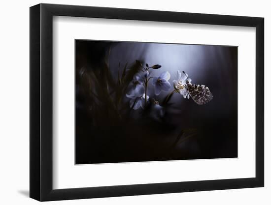 In Your Dreams, Everything Is Alright-Fabien Bravin-Framed Photographic Print