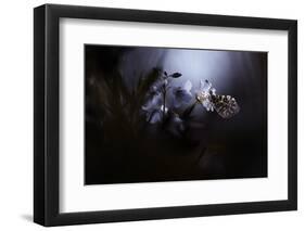 In Your Dreams, Everything Is Alright-Fabien Bravin-Framed Photographic Print