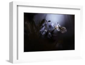 In Your Dreams, Everything Is Alright-Fabien Bravin-Framed Photographic Print