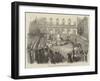 Inauguration of the Statue of Queen Isabella II, at Madrid-null-Framed Giclee Print