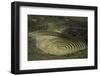 Inca Agricultural Research Station, Moray, Peru, South America-Peter Groenendijk-Framed Photographic Print