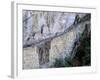 Inca Bridge, Machu Picchu, Peru-Pete Oxford-Framed Photographic Print