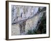 Inca Bridge, Machu Picchu, Peru-Pete Oxford-Framed Photographic Print