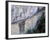 Inca Bridge, Machu Picchu, Peru-Pete Oxford-Framed Photographic Print