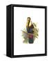 Inca or White Throated Toucan-John Gould-Framed Stretched Canvas