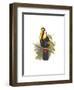 Inca or White Throated Toucan-John Gould-Framed Premium Giclee Print