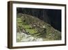 Inca Ruins, Machu Picchu, Unesco World Heritage Site, Peru, South America-Sybil Sassoon-Framed Photographic Print