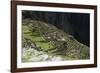 Inca Ruins, Machu Picchu, Unesco World Heritage Site, Peru, South America-Sybil Sassoon-Framed Photographic Print