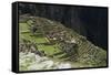 Inca Ruins, Machu Picchu, Unesco World Heritage Site, Peru, South America-Sybil Sassoon-Framed Stretched Canvas