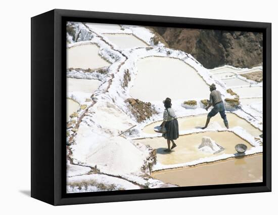 Inca Salt Pans Below Salt Spring, Salineras De Maras, Sacred Valley, Cuzco Region (Urabamba), Peru-Tony Waltham-Framed Stretched Canvas
