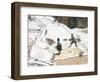 Inca Salt Pans Below Salt Spring, Salineras De Maras, Sacred Valley, Cuzco Region (Urabamba), Peru-Tony Waltham-Framed Photographic Print