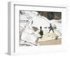 Inca Salt Pans Below Salt Spring, Salineras De Maras, Sacred Valley, Cuzco Region (Urabamba), Peru-Tony Waltham-Framed Photographic Print