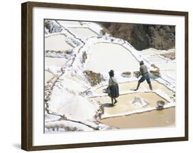 Inca Salt Pans Below Salt Spring, Salineras De Maras, Sacred Valley, Cuzco Region (Urabamba), Peru-Tony Waltham-Framed Photographic Print
