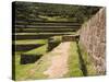 Inca Site of Tipon, Cusco, Peru-Diane Johnson-Stretched Canvas