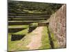 Inca Site of Tipon, Cusco, Peru-Diane Johnson-Mounted Photographic Print