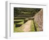 Inca Site of Tipon, Cusco, Peru-Diane Johnson-Framed Photographic Print