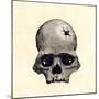 Inca Skull Showing Evidence of Prehistoric Trephining or Brain Surgery in Peru-null-Mounted Giclee Print