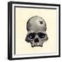 Inca Skull Showing Evidence of Prehistoric Trephining or Brain Surgery in Peru-null-Framed Giclee Print