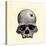 Inca Skull Showing Evidence of Prehistoric Trephining or Brain Surgery in Peru-null-Stretched Canvas