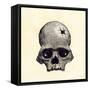 Inca Skull Showing Evidence of Prehistoric Trephining or Brain Surgery in Peru-null-Framed Stretched Canvas