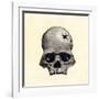 Inca Skull Showing Evidence of Prehistoric Trephining or Brain Surgery in Peru-null-Framed Giclee Print