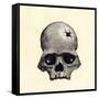 Inca Skull Showing Evidence of Prehistoric Trephining or Brain Surgery in Peru-null-Framed Stretched Canvas