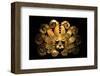 Inca Sun God Mask-null-Framed Art Print