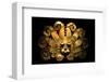 Inca Sun God Mask-null-Framed Art Print