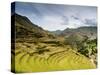 Inca Terraces, Pisac, Sacred Valley, Cusco Region, Peru, South America-Karol Kozlowski-Stretched Canvas