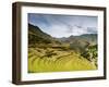 Inca Terraces, Pisac, Sacred Valley, Cusco Region, Peru, South America-Karol Kozlowski-Framed Photographic Print
