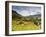 Inca Terraces, Pisac, Sacred Valley, Cusco Region, Peru, South America-Karol Kozlowski-Framed Photographic Print